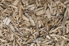 biomass boilers Furzedown